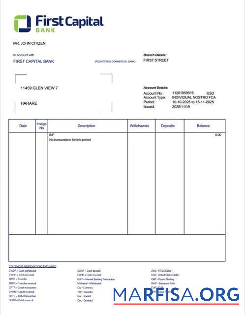 Downloadable Zambia First Capital bank account statement word example